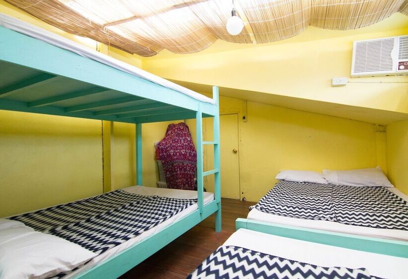 Go Surfari House   Hostel