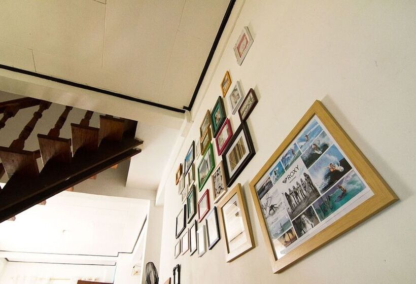 Go Surfari House   Hostel