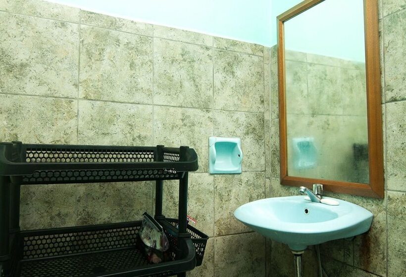 Go Surfari House   Hostel