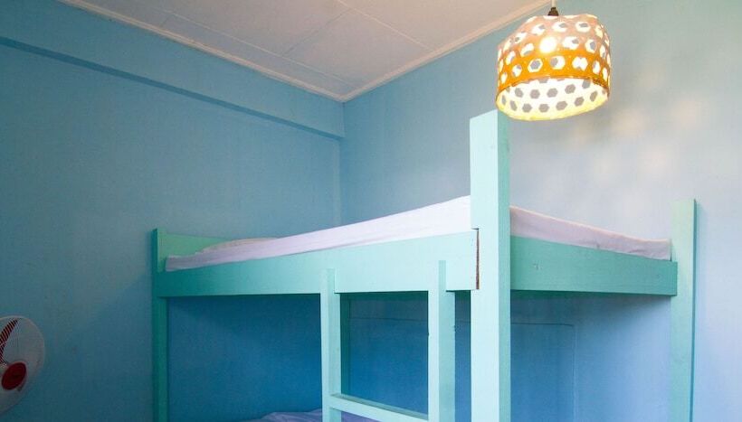 Go Surfari House   Hostel