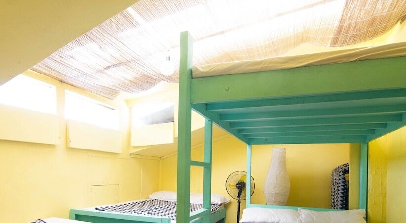 Go Surfari House   Hostel