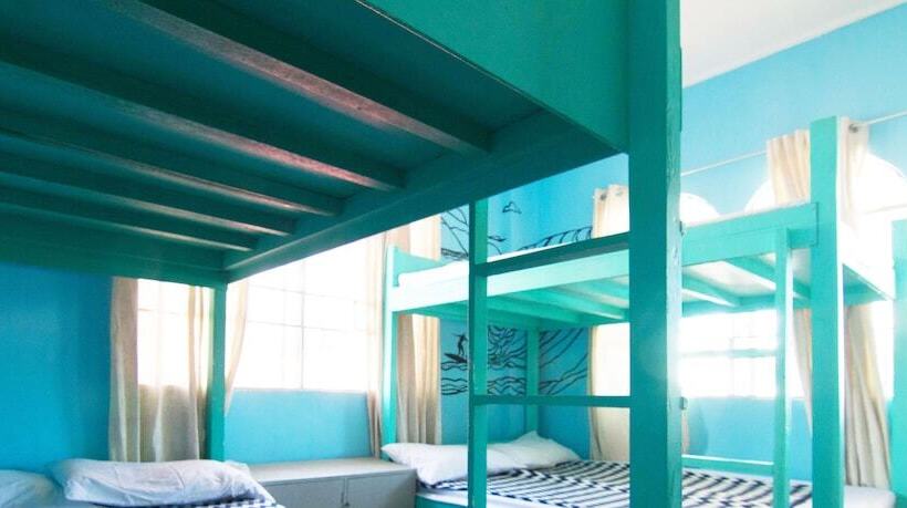 Go Surfari House   Hostel