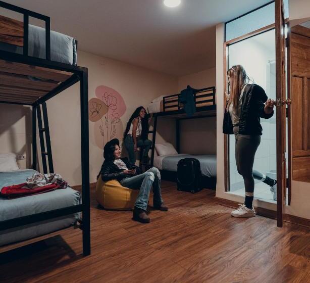 Общежитие Hommam