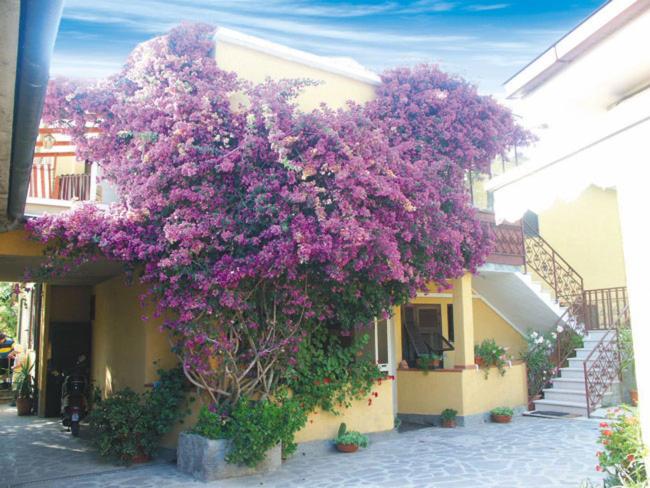 ホテル Albergo Bel Tramonto