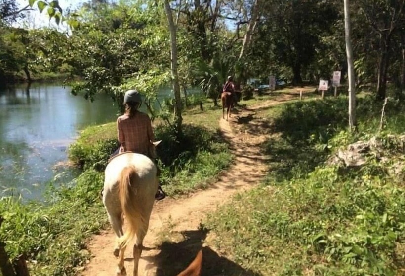 בית מלון כפרי Belize Toucan Nest