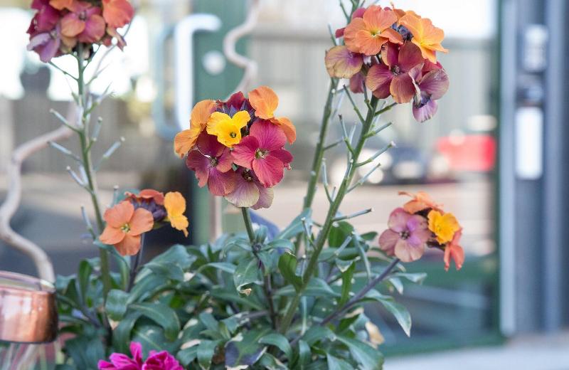 ホテル L Eken Mölndal