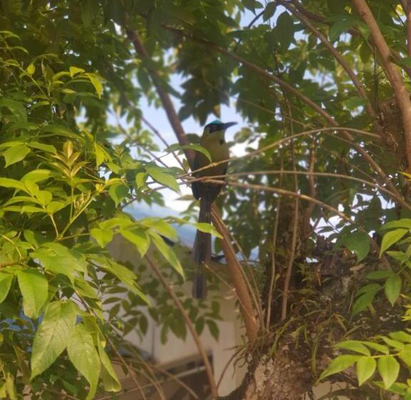 هتل Campestre La Posada Del Rancho