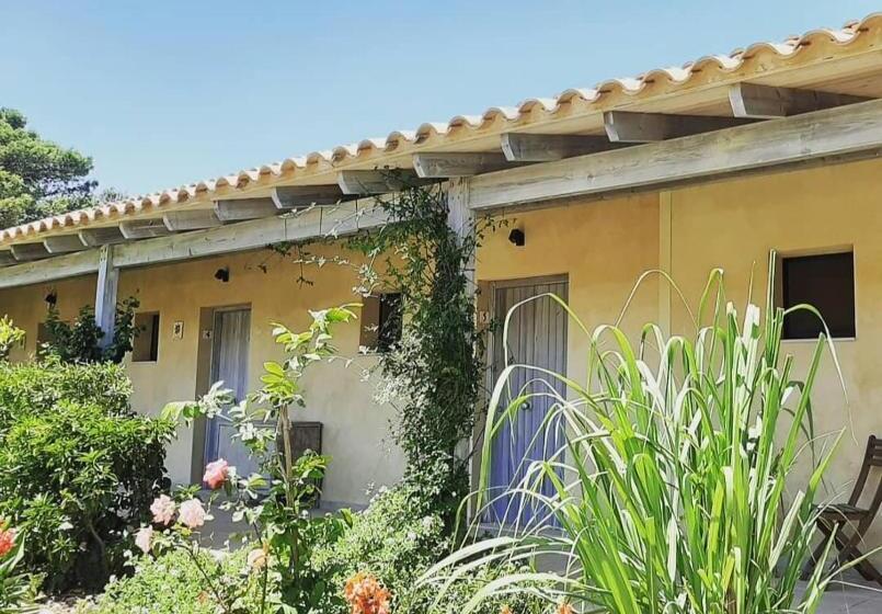 Отель El Teular