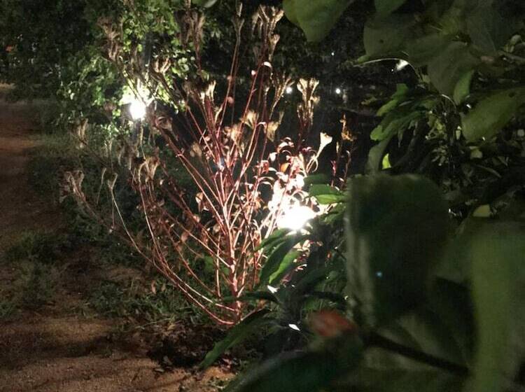 호텔 Sunshine Resort & Spa Sigiriya