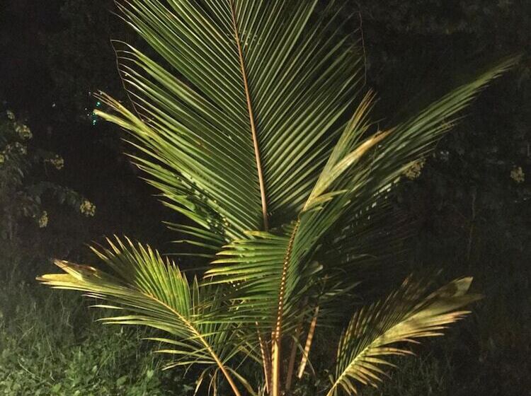 Отель Sunshine Resort & Spa Sigiriya