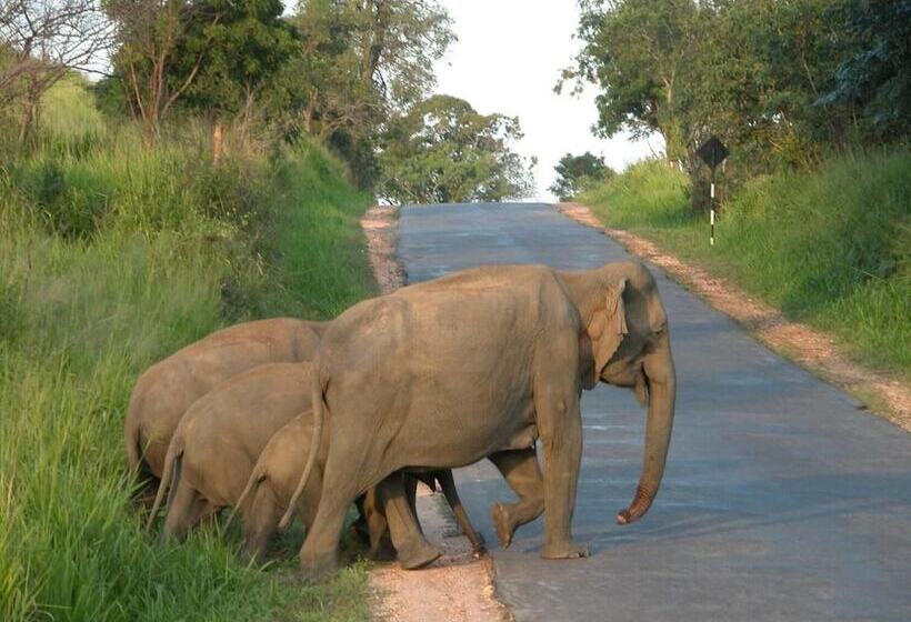 Отель Sunshine Resort & Spa Sigiriya