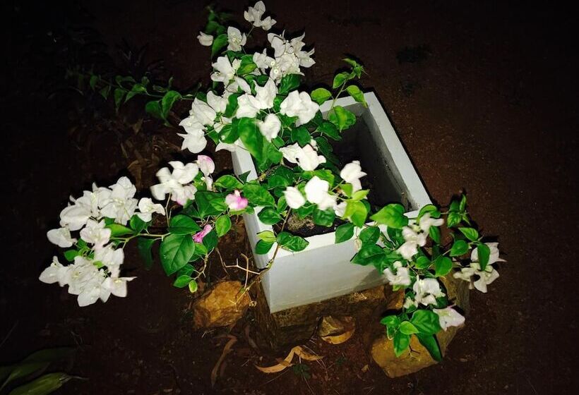 Отель Sunshine Resort & Spa Sigiriya