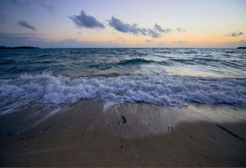 בית מלון כפרי The Ellysian Boutique