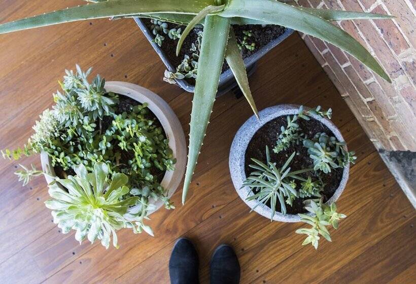 The Parkview Hotel Mudgee