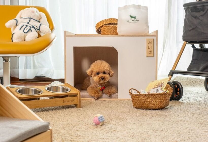 渡假胜地  Shinhwa Jeju Shinhwa World Hotels