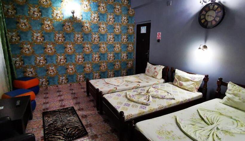هاستل Max   Mamaia Nord