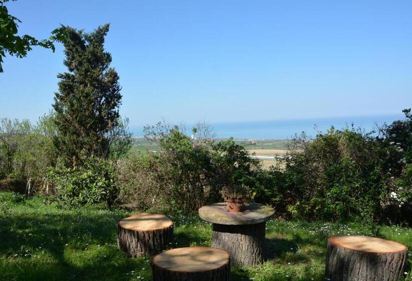 Bed and Breakfast Affittacamere Nonna Bon Bon