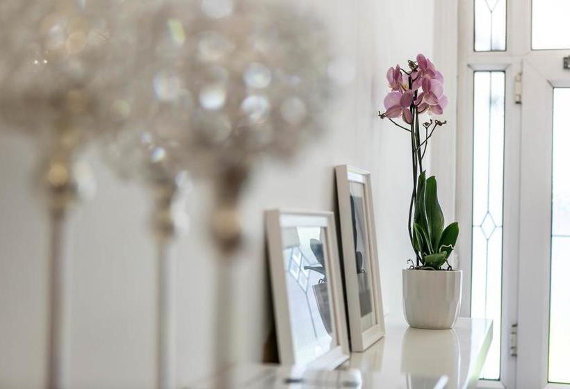 住宿加早餐  Hayesbank