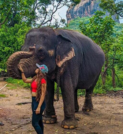 住宿加早餐 Lakmal Homestay ,10 Minutes To Sigiriya Rock