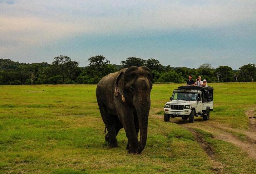 住宿加早餐 Lakmal Homestay ,10 Minutes To Sigiriya Rock