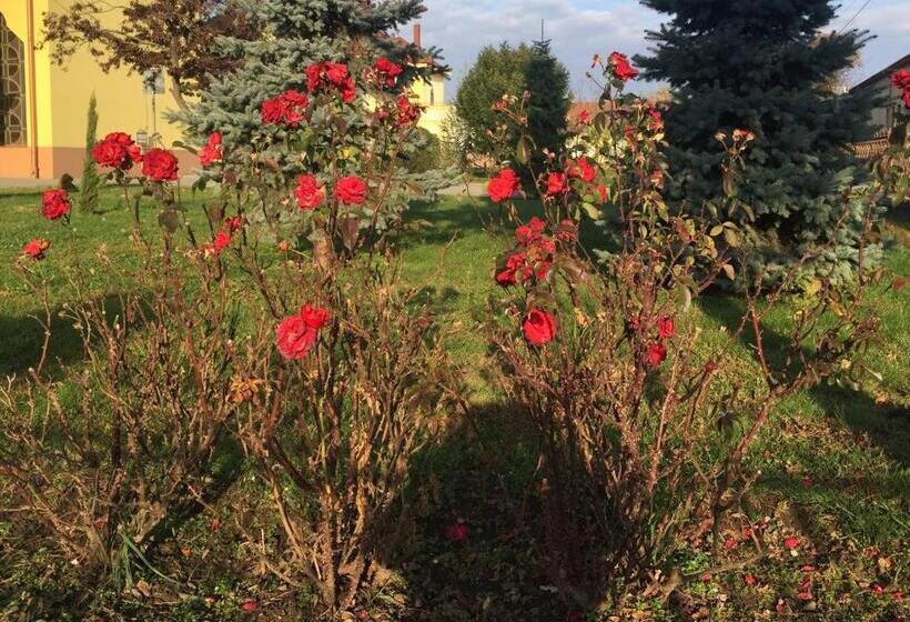 ベッドアンドブレックファースト Mamre Szálló