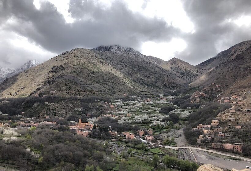 تختخواب و صبحانه Riad Atlas 4 Seasons