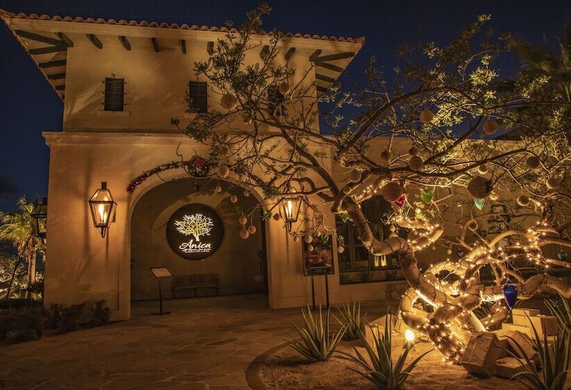 Grand Solmar Pacific Dunes Resort Golf & Spa