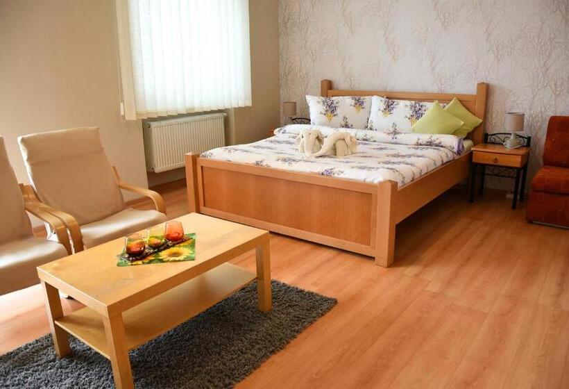 호텔 Baník Handlová