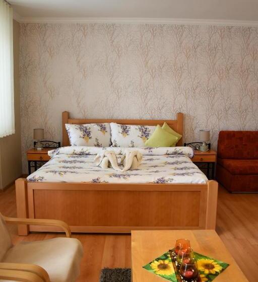 酒店 Baník Handlová