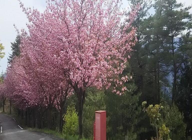 ホテル Terrace Resort Asago