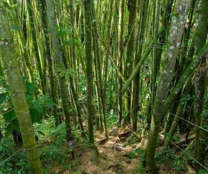 호텔 Hacienda Santa Clara