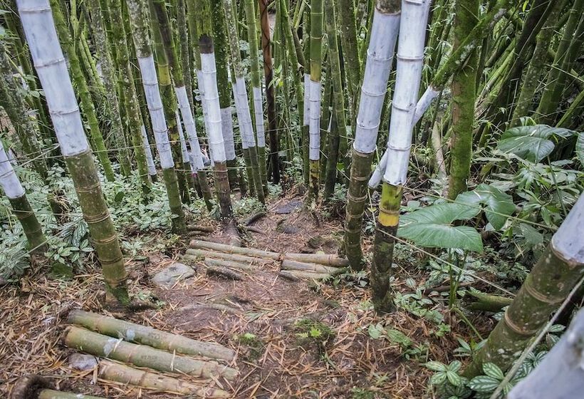 호텔 Hacienda Santa Clara