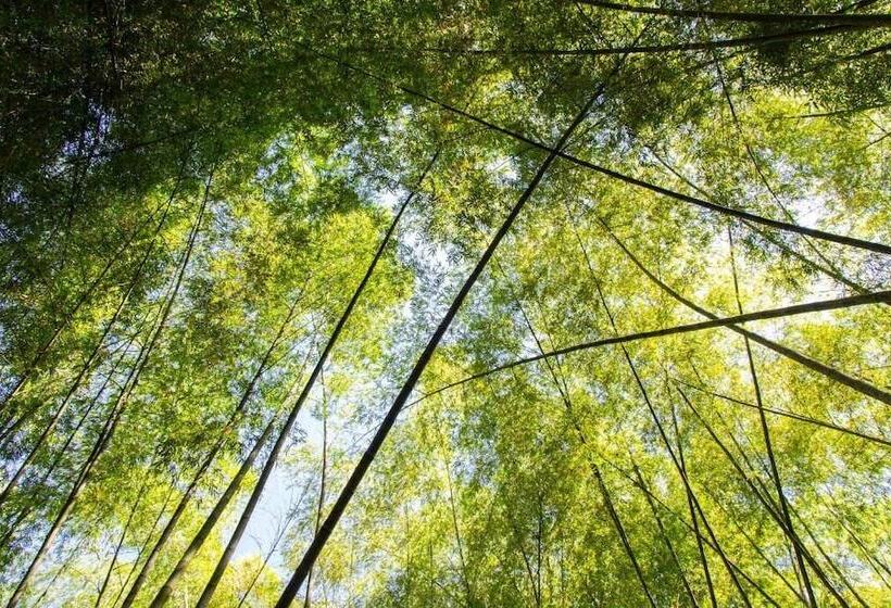 هتل Hacienda Santa Clara