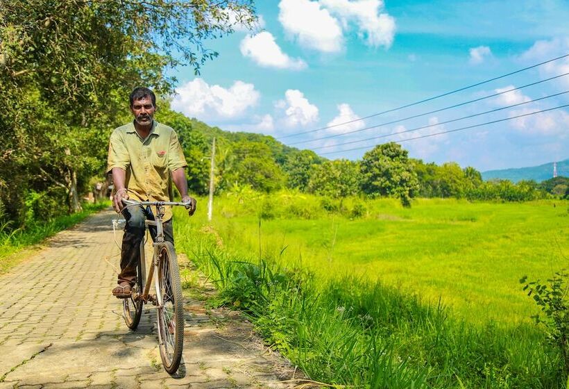 Отель Liyya Water Villas