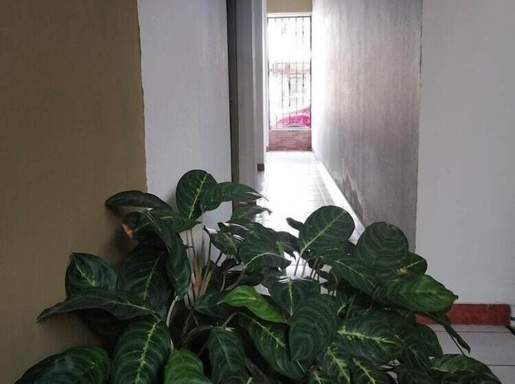 בית מלון כפרי Malinche