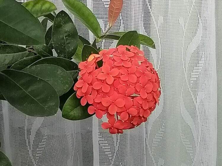 בית מלון כפרי Malinche