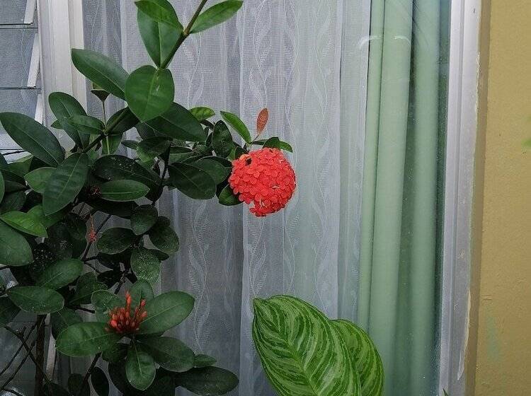 בית מלון כפרי Malinche