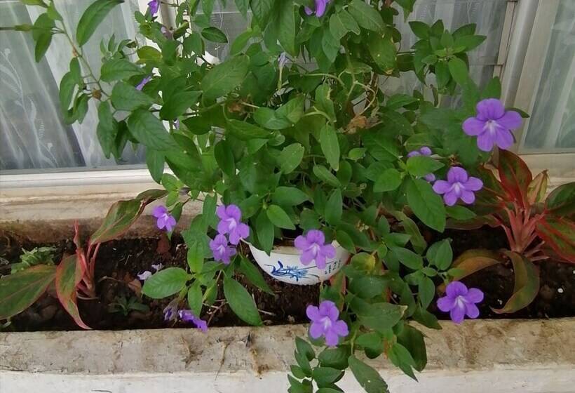 בית מלון כפרי Malinche