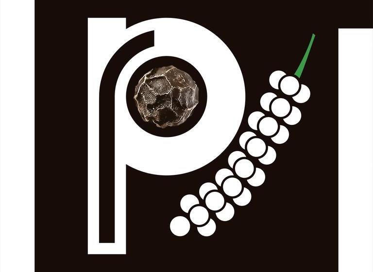 酒店 Pepper Residency