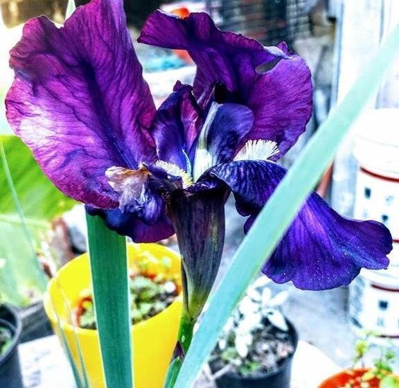 هتل Residencial Marluc