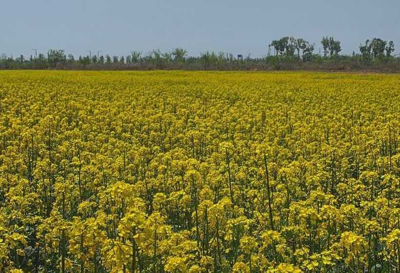 فندق Royal Emporium Incheon Airport