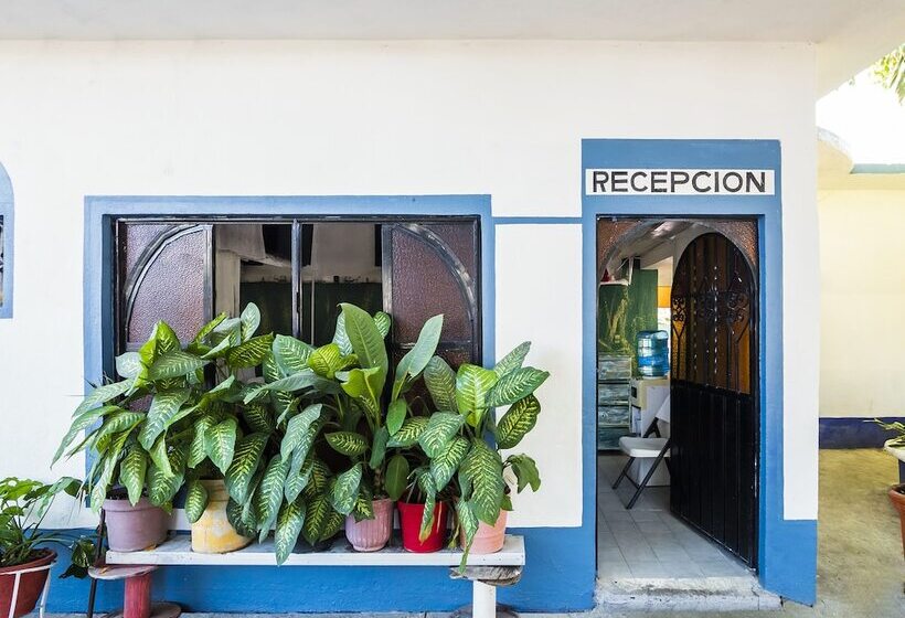 호텔 San Jose Purua