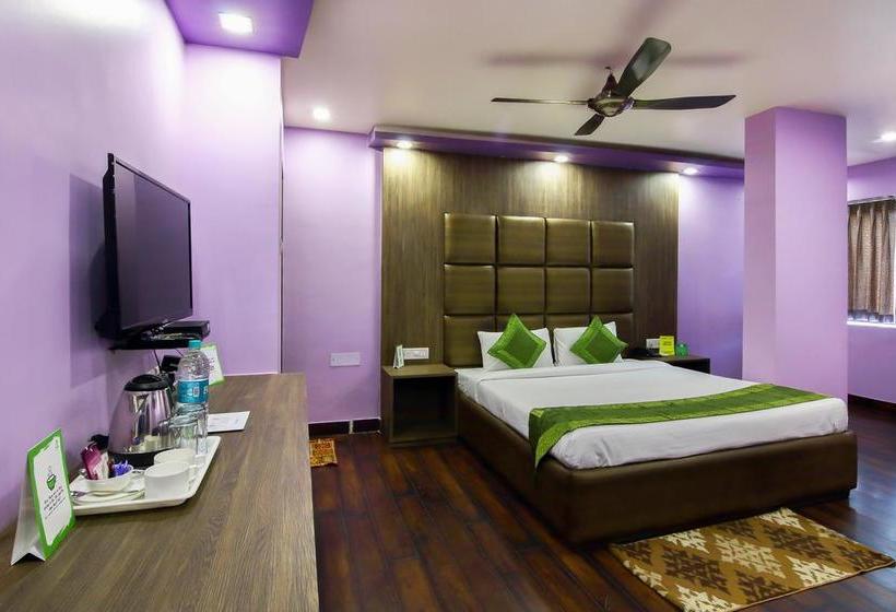 酒店 Treebo Crystal Studio