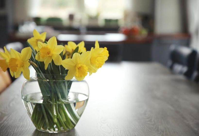 Picabella   B&b En Atelier