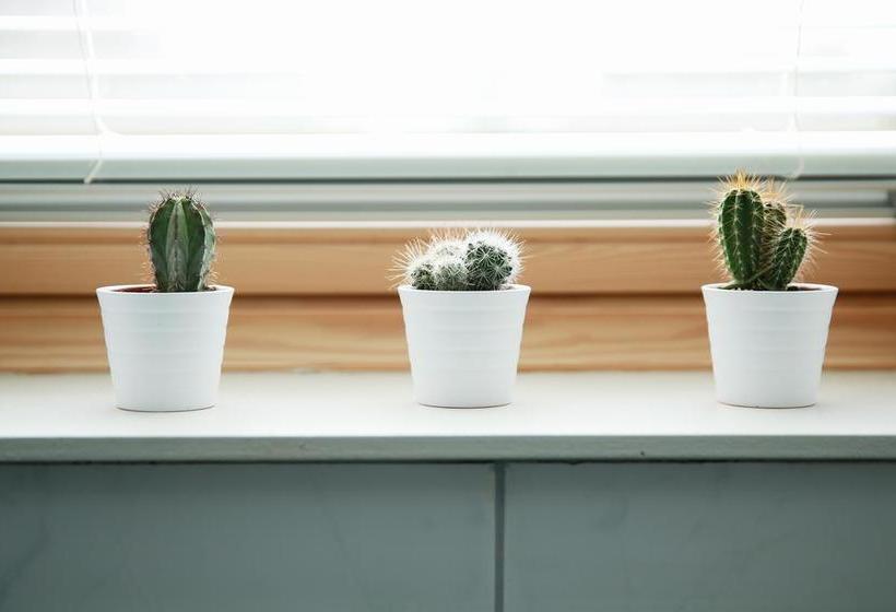 Picabella   B&b En Atelier