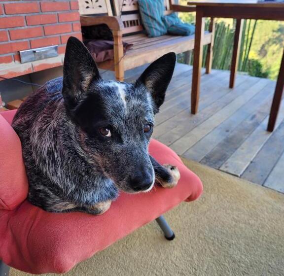 Pousada E Hostel Paraíso Capitólio