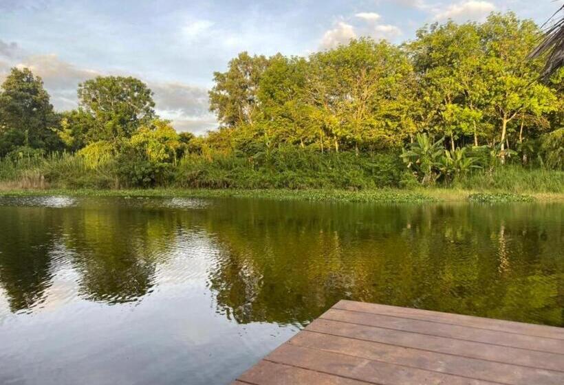 渡假胜地  Tipparika Riverview