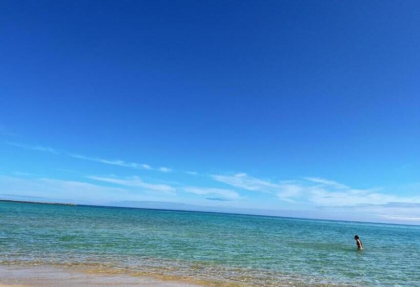 日式旅馆 Japanese Style Hotel Morigen