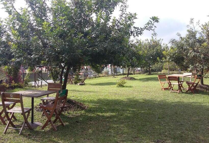 فندق صغير Star Center Hotel Boutique, Centro De Entrenamiento Deportivo Y Conveniencias A Dos Pasos Del Aeropu