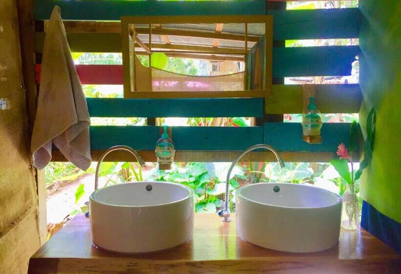 Общежитие Oasis